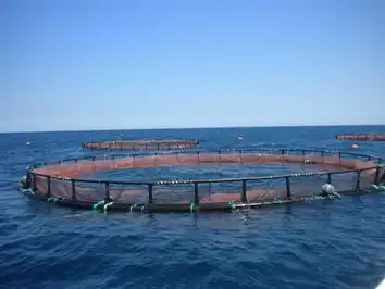 Taihang aquaculture