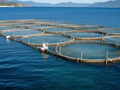 Taihang aquaculture