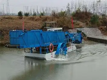 River cleaning