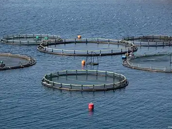 Aquaculture plant 