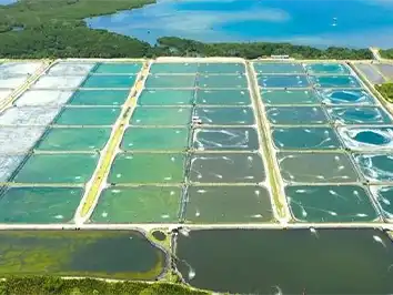 Philippines aquaculture